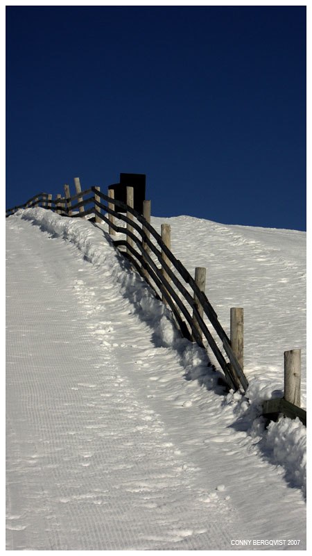 Foto: Conny Bergqvist. Åkare: Staket.