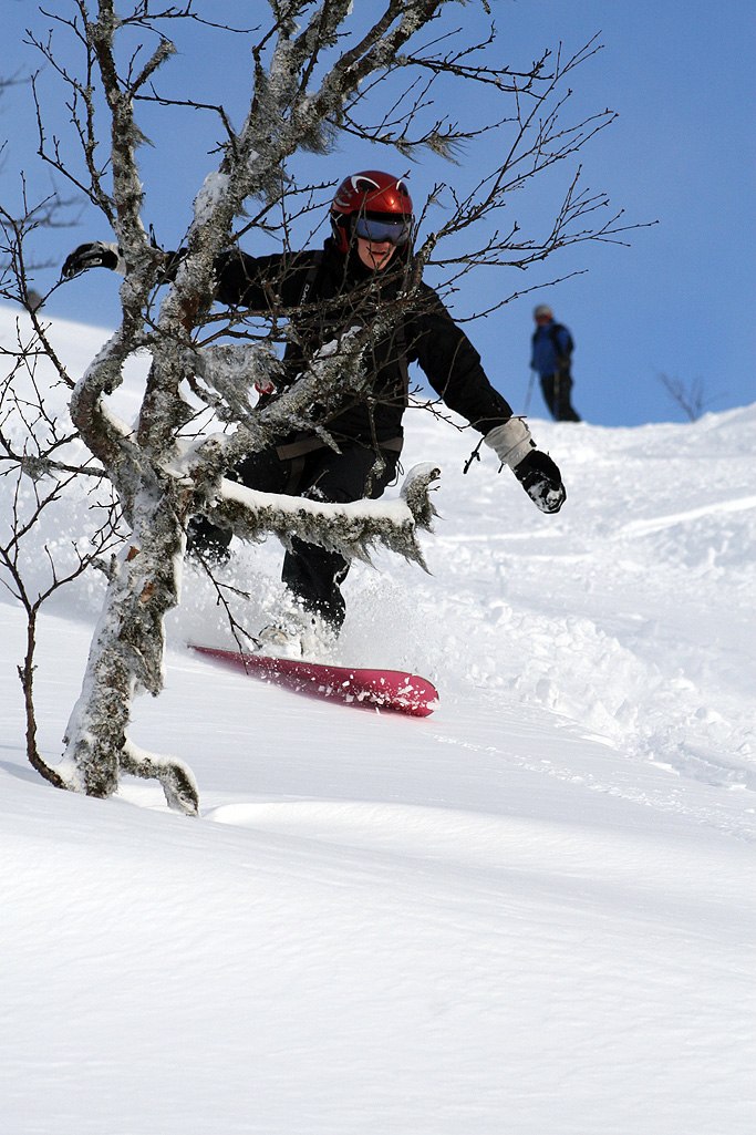 En av Borgafjälls fina offpistrännor - ospårad,. Foto: Jonas Emilsson. Åkare: Camilla Sjöström.