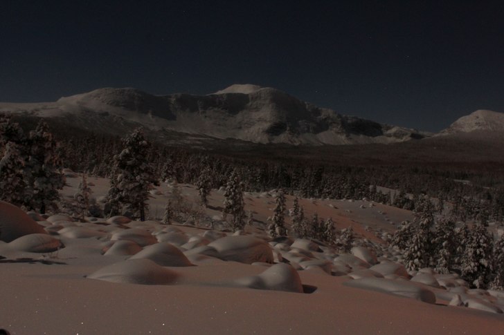 Borkastupet i månsken. Foto: Lisa Lind.