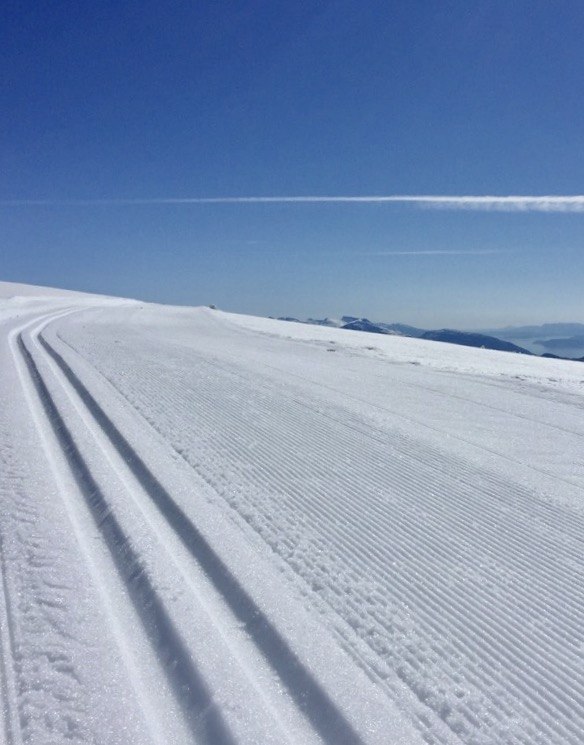 Fonna i dag ????☀️
Alle løyper preppet inklud.