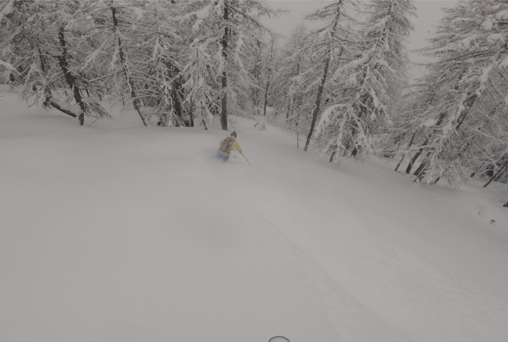 Le Foyer - någonstans lite mer skiers left i skog.