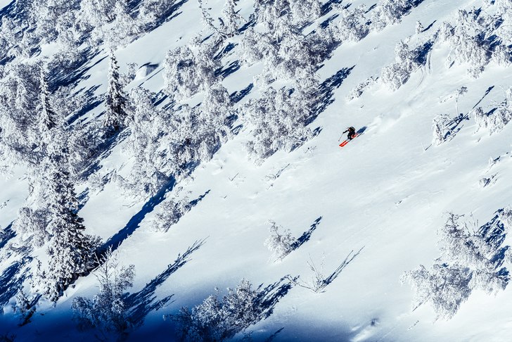 Gles skog möter dig som tänkt åka i ravinen.. Foto: Axel Adolfsson.