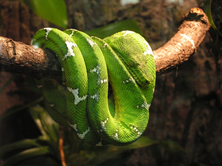 I väntan på snön får man hitta andra spännand. Foto: Stina Vertergård.