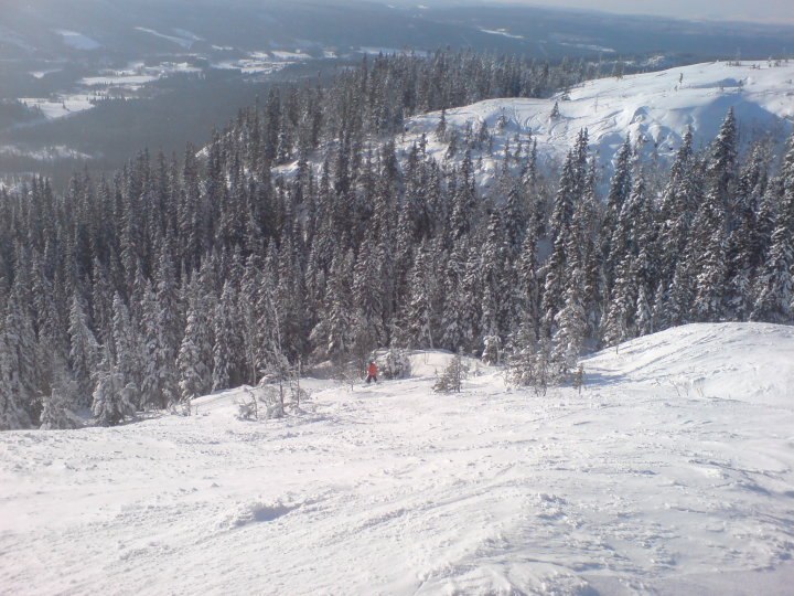 Polarn drar ner i den fina offpisten.. Foto: Jag. Åkare: Max.