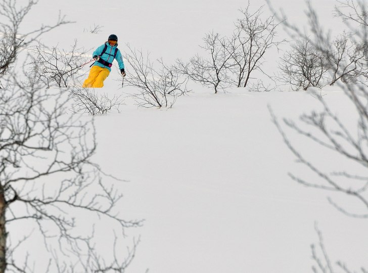 Foto: Andreas Gustavsson. Åkare: Anna.