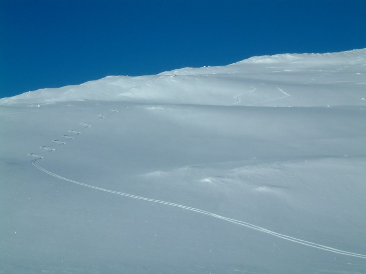 Foto: niklas oja. Åkare: niklas oja.