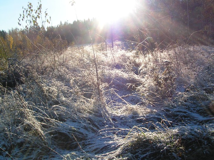 Foto: stina Vetrergård. Åkare: säsongens första snö.