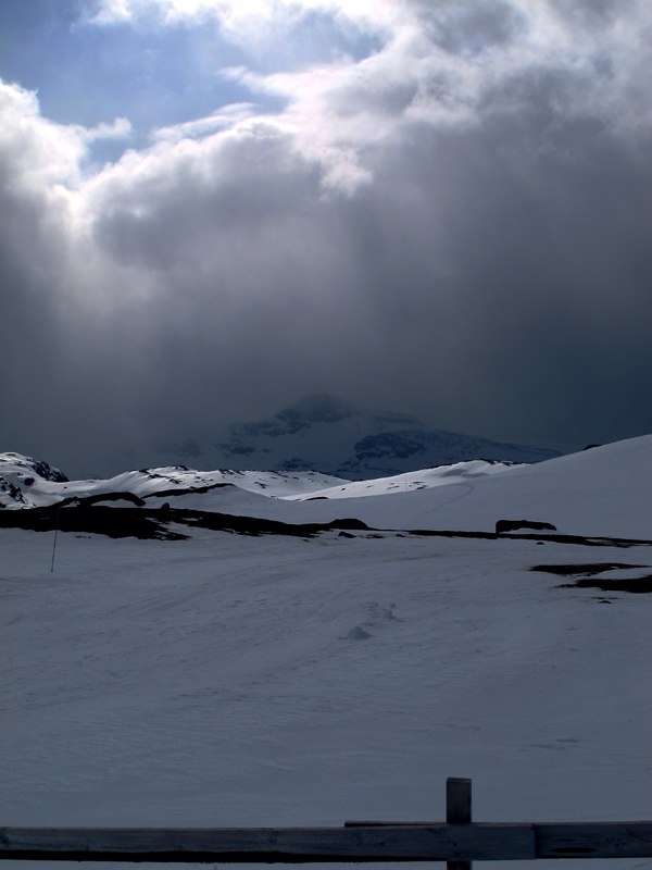 Foto: Hansi Elsbacher.