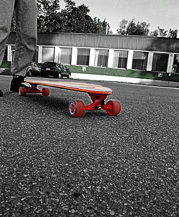 HDR vetja. Foto: Anna Back . Åkare: Fridu.