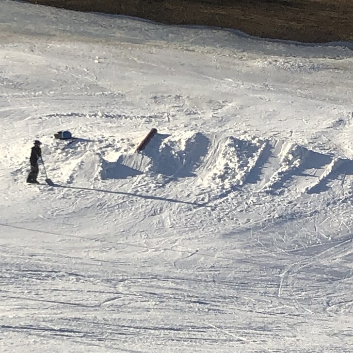 Liten del av Vilsta parken.