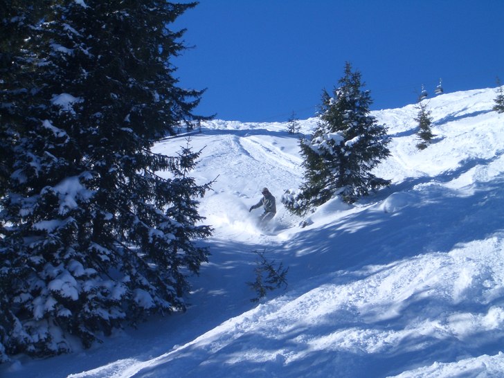 Foto: Vet ej. Åkare: Morgan.