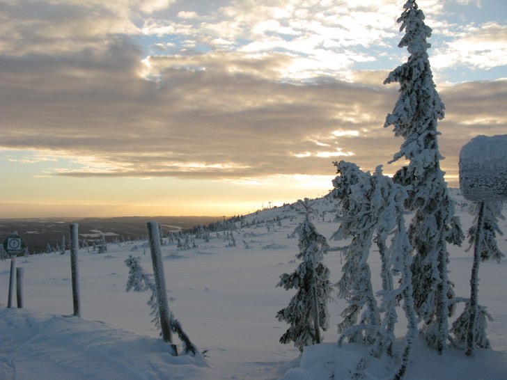 Foto: Emma Högberg.