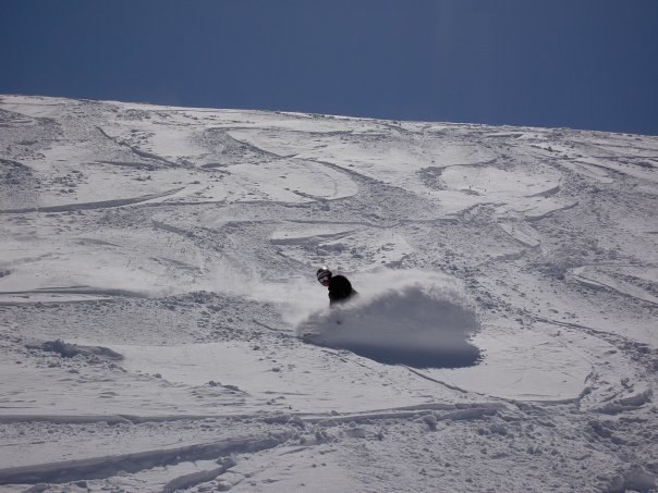 Foto: åsa granander. Åkare: jesper granander.