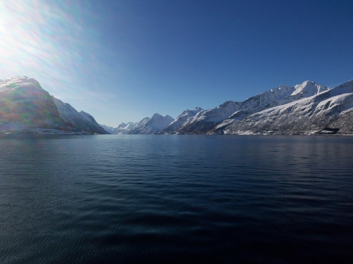 Foto: Frida Johansson.