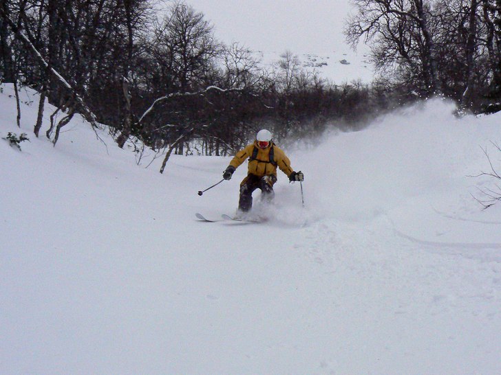 Foto: Stefan Vikberg. Åkare: Janne Vikberg.