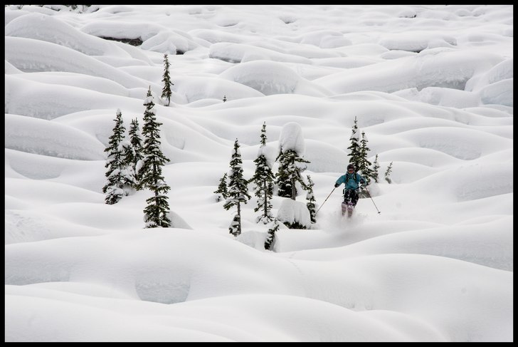 Mushroom People. Foto: Oskar Wagrelius. Åkare: Joakim Erik Nilsson.