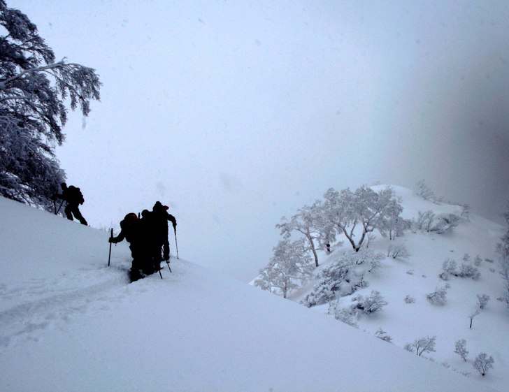 På tur bland puder och körsbärsträd. Foto: Pär Blomqvist. Åkare: Jonas, Christian och Rolf.