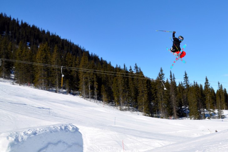 Mute. Foto: Erica Boart. Åkare: Calle Boart.