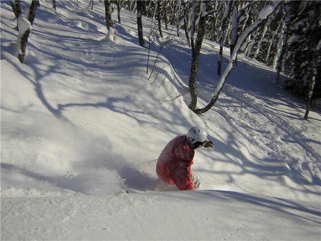 puder. Foto: Marcus Löfvenberg. Åkare: Mattias Löfvenberg.