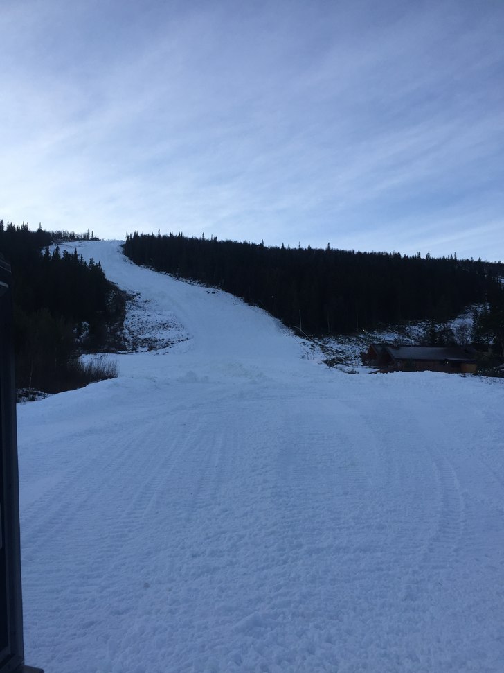 Bjønneløypa 
Vi åpner bjønneløypa og stolheis.