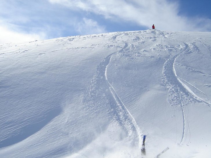 fin vurpa. Foto: Jonatan Linsmeier. Åkare: Joel Lundin.