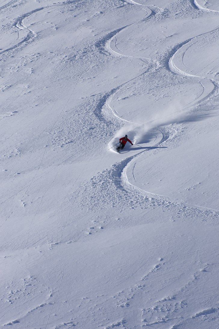 Foto: Jonas Fagerö. Åkare: Ola Fagerö.