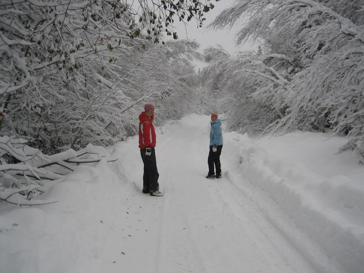 Massor med härlig snö i oktober!!. Foto: Maria Lidfors. Åkare: Eilert o Nina.