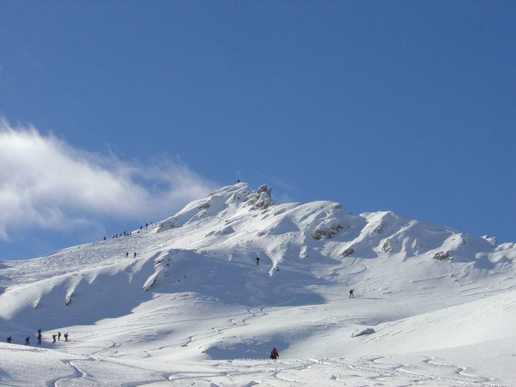 Topptur Gd St Bernard, strålande väder. Foto: Fredrik Larson. Åkare: Axel Bernhard - Larson.