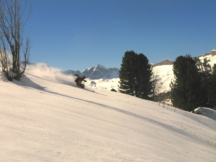 Foto: Molina cederholm. Åkare: Johan persson.