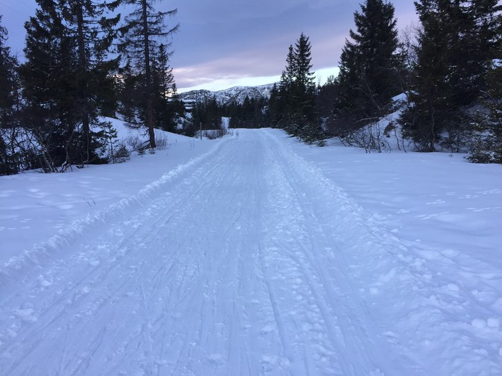 Langrennsløyper i dag
Ikke så verst langrennslø.