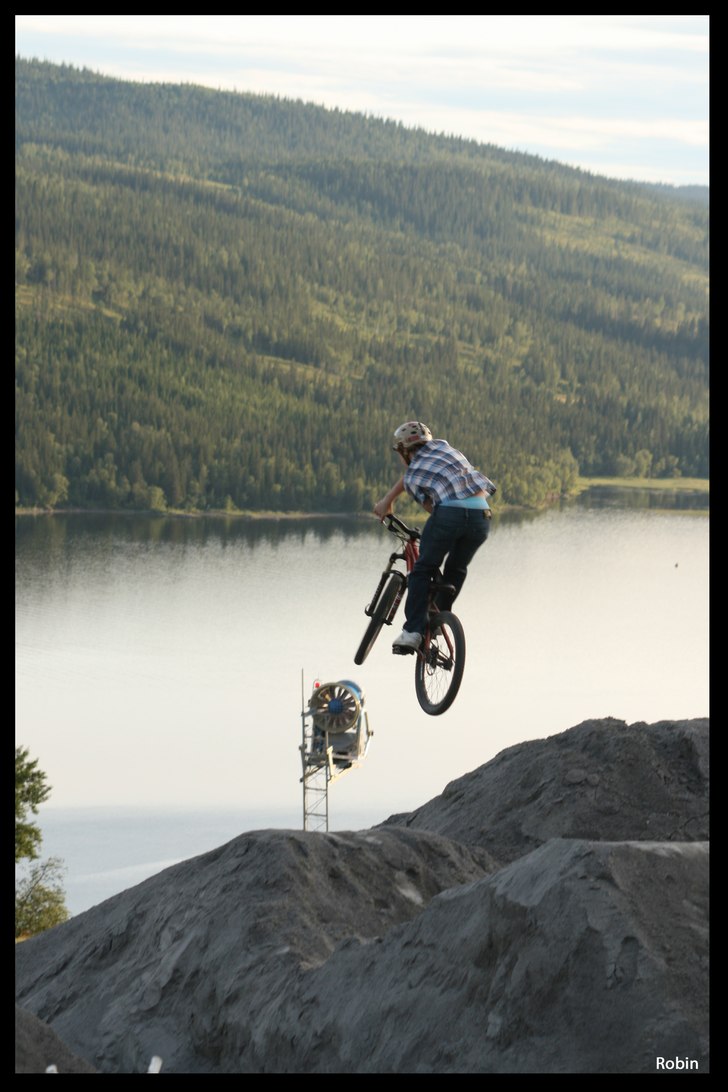 arab. Foto: Robin Saletti. Åkare: Douglas Broström-Carlsson.