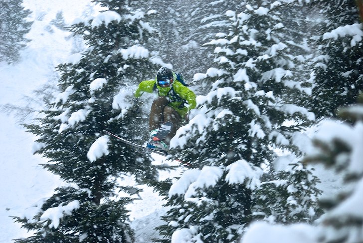 Dancing with the pines

- Daniel Kemnitz.