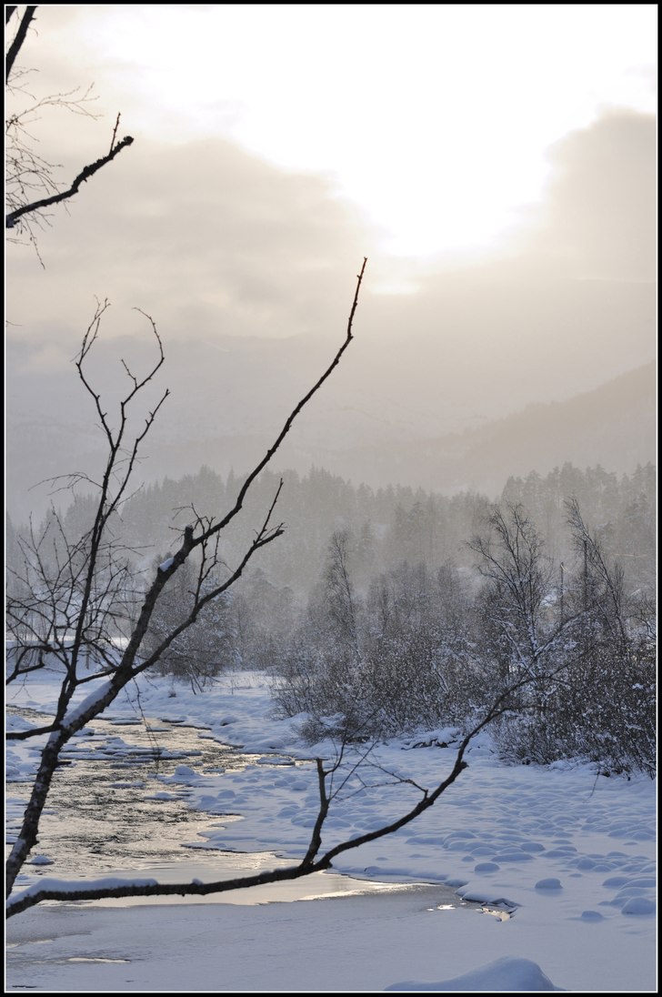 Foto: Andreas Gustavsson.