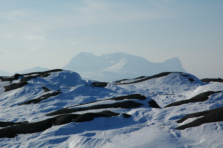 Foto: Lennart Olsson.