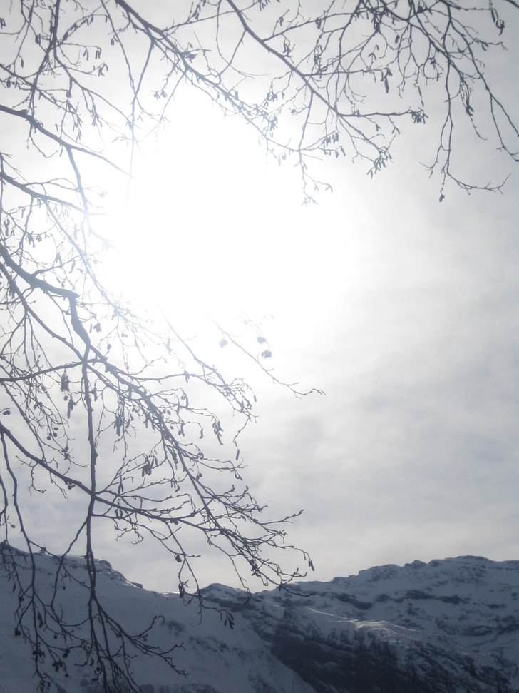 Foto: Sara Torvestig.