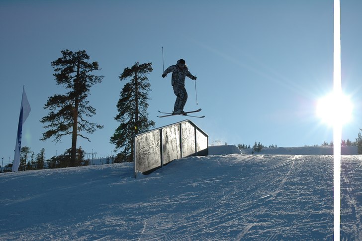 Foto: Carolina Person. Åkare: Oskar Brandberg.
