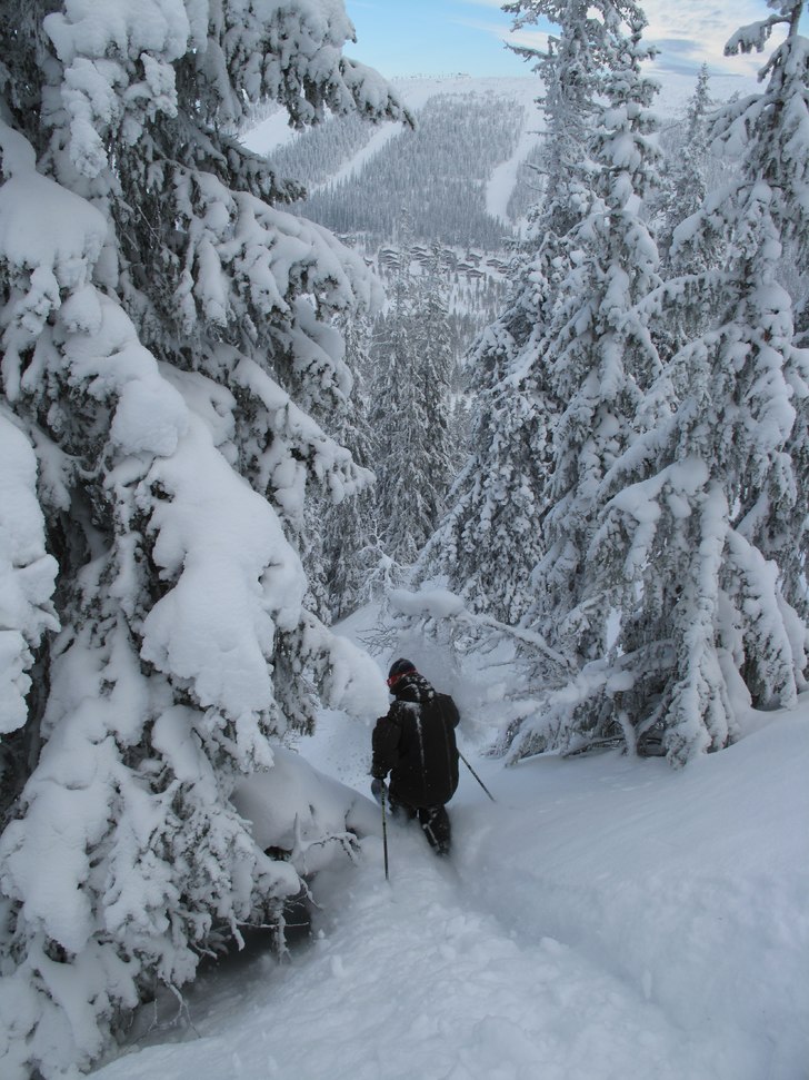 Foto: Stefan Undvall. Åkare: Per Wilhelmsson.
