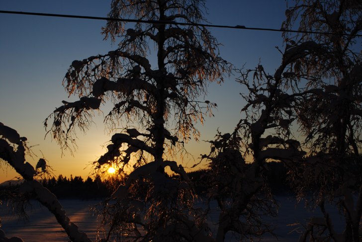 Foto: Linn .