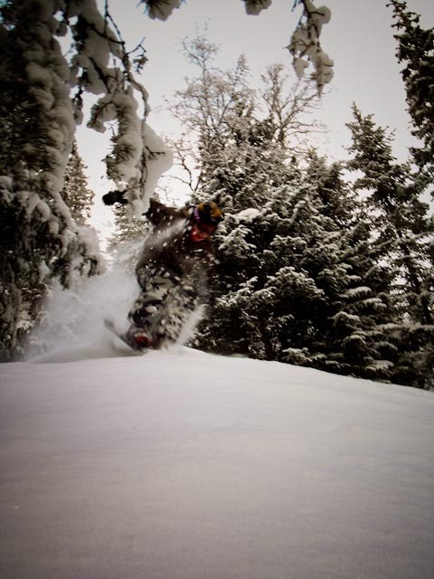 Foto: Mikael. Åkare: Per.