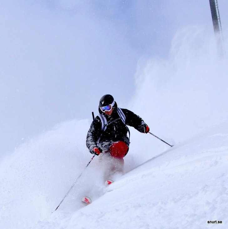 Fin kallsnö. Foto: Petteri Koste. Åkare: Henrik Mideroos.