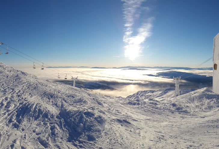 Goväder på skutan. Foto: Martin Åström.