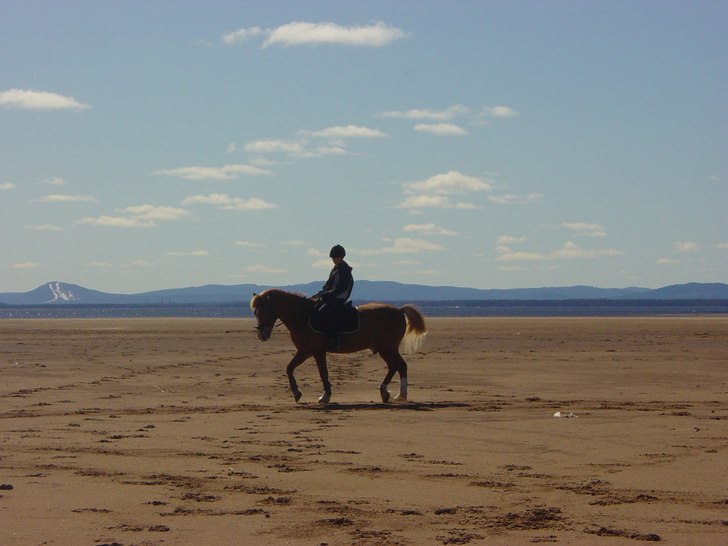 Min häst jass ocj jag. Åkare: Veronica.