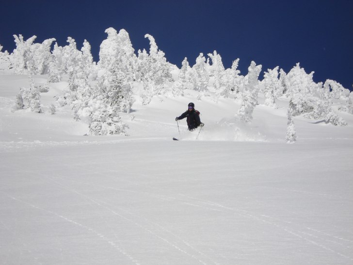 Fresh pow from the peakhike in Revelstoke going do. Foto: Helene Tevemark. Åkare: Christoffer Ling.