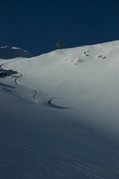 Foto: gonzo. Åkare: lars åke krantz.