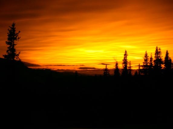 Foto: Richard Karlsson. Åkare: Den feta sol-guden.