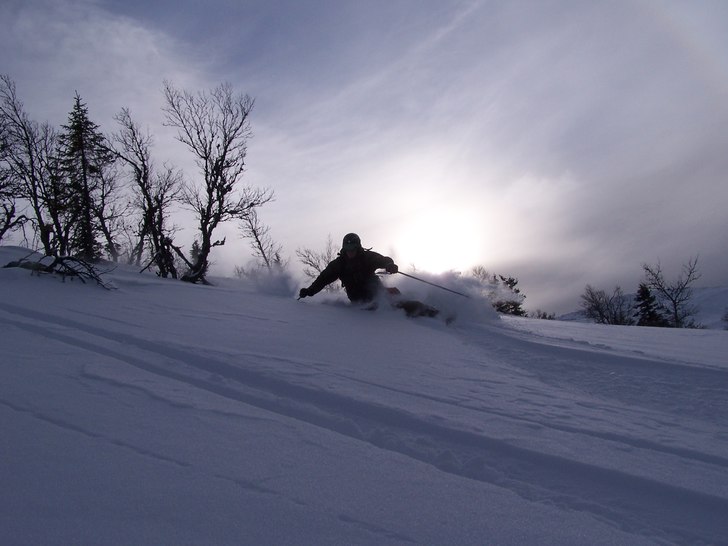 Foto: Daniel Nilsson. Åkare: Jerker Aspgård.
