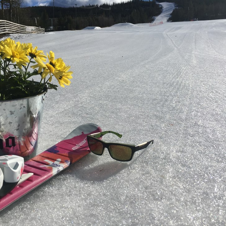 Herlig påskestart!
Mandag 10 april.

Vi i Nesby.