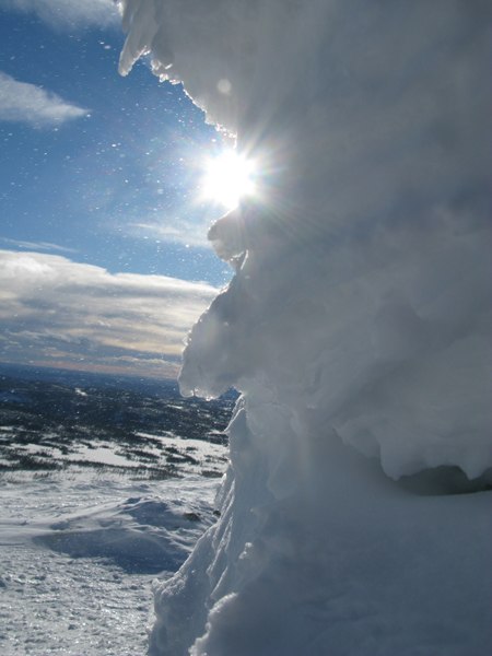 Foto: Samuel Simonsson.