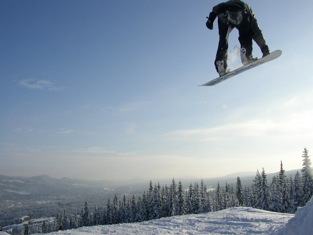 Fronside nosebone. Foto: Per Persson. Åkare: Andreas Wittberg.