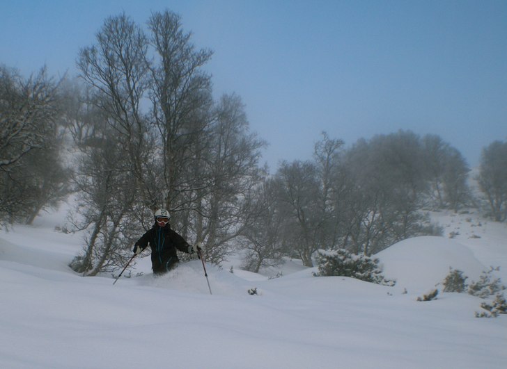 Rörliga bilder: http://www.freeride.se/video/oppd. Foto: Gustav Holmer. Åkare: Gika.